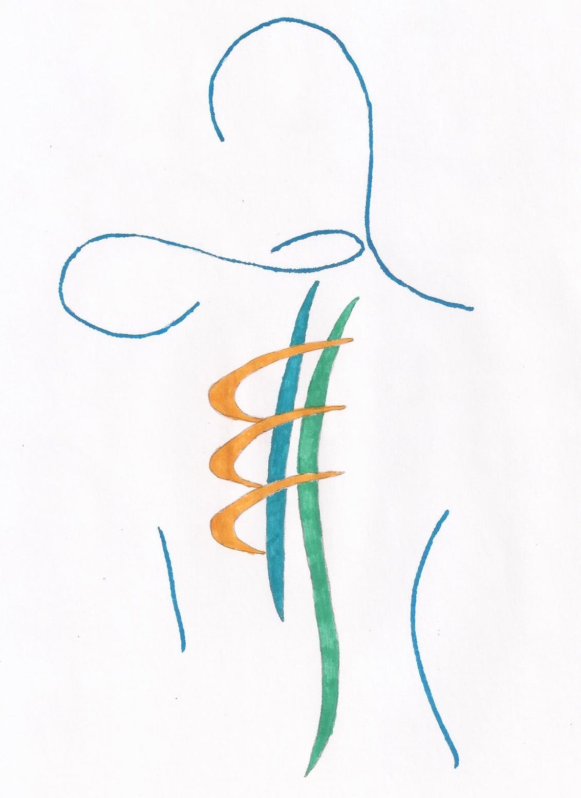 Audrey Parkinson Amoyal